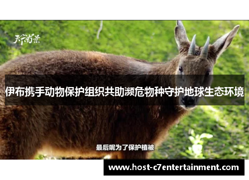 伊布携手动物保护组织共助濒危物种守护地球生态环境 伊布携手动物保护组织共助濒危物种守护地球生态环境