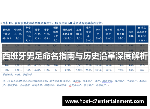 西班牙男足命名指南与历史沿革深度解析
