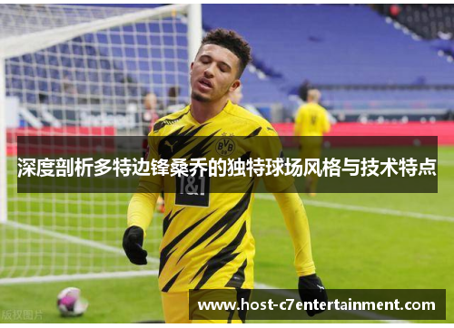 深度剖析多特边锋桑乔的独特球场风格与技术特点