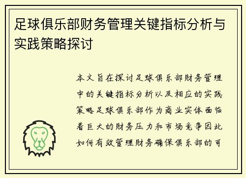 足球俱乐部财务管理关键指标分析与实践策略探讨 足球俱乐部财务管理关键指标分析与实践策略探讨